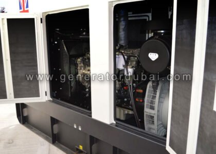 Residential generator maintenance UAE